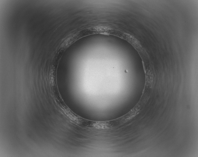 X0000083000762200702160049