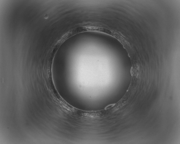 X0000083000763200702160049