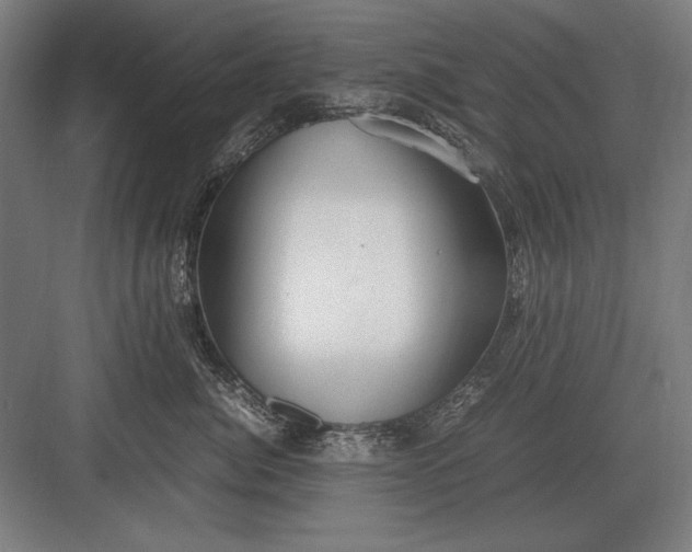 X0000083000764200702160049