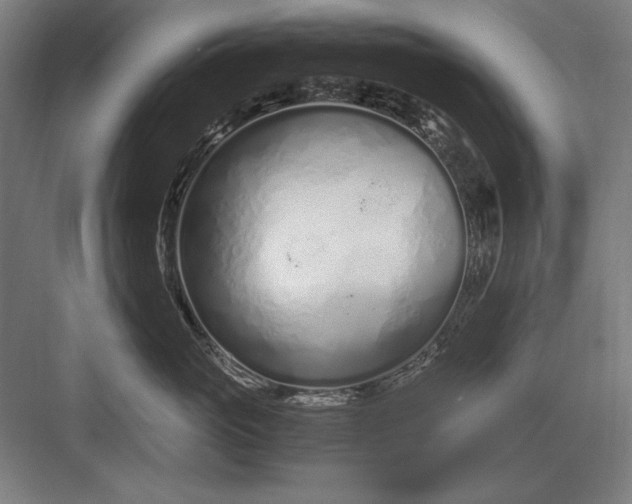 X0000083000765200702160049