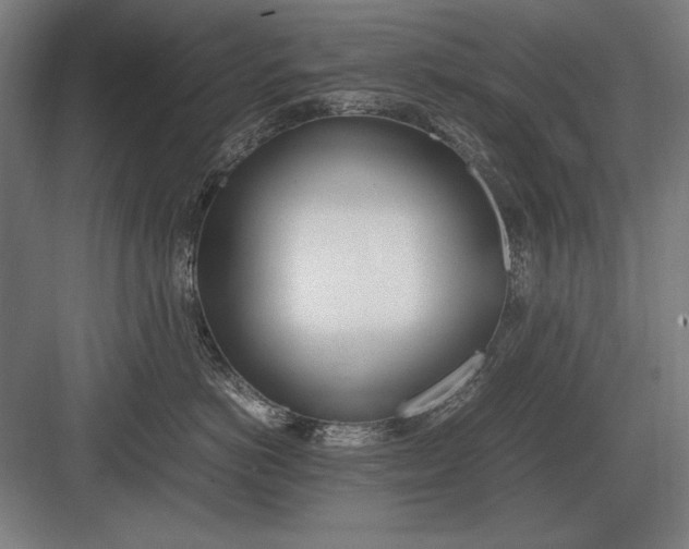 X0000083000766200702160049