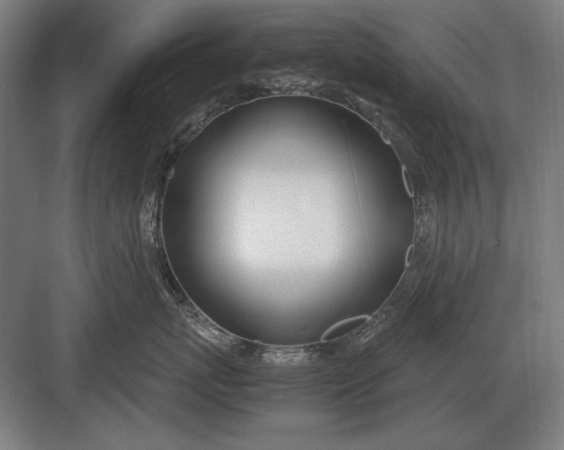 X0000083000767200702160049