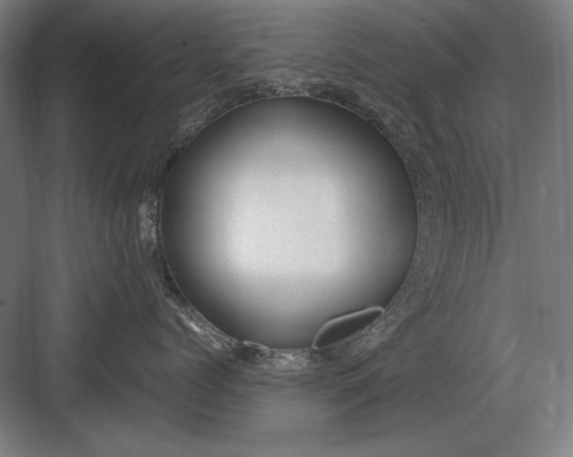 X0000083000768200702160049