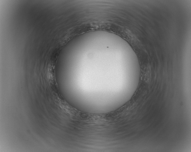 X0000083000770200702160048