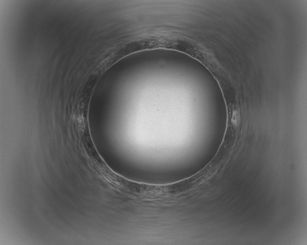 X0000083000771200702160048