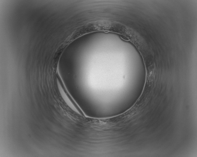 X0000083000772200702160048