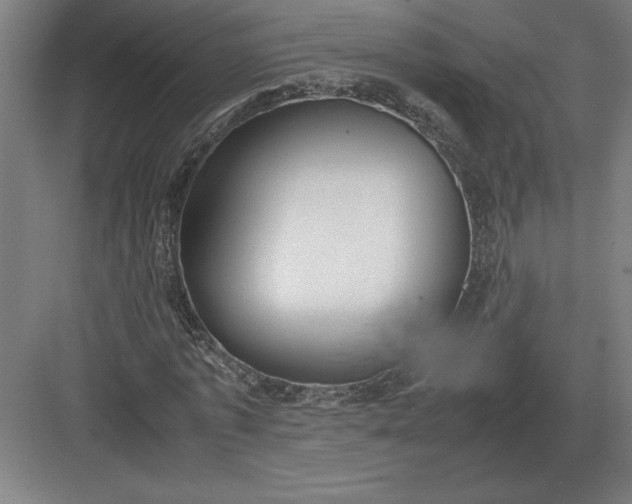 X0000083000773200702160048