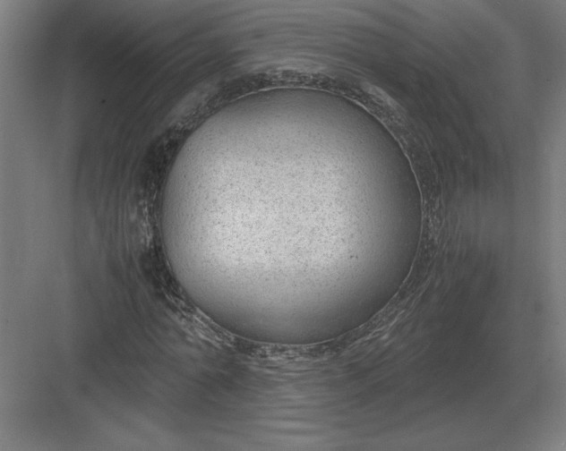 X0000083000774200702160048