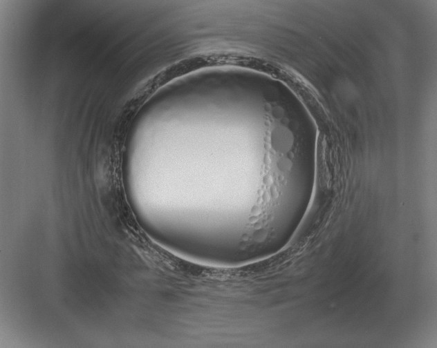 X0000083000775200702160048