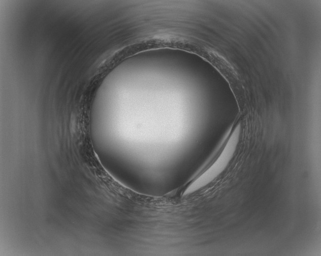 X0000083000776200702160048