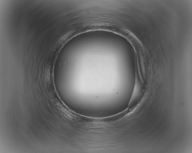 X0000083000777200702160048