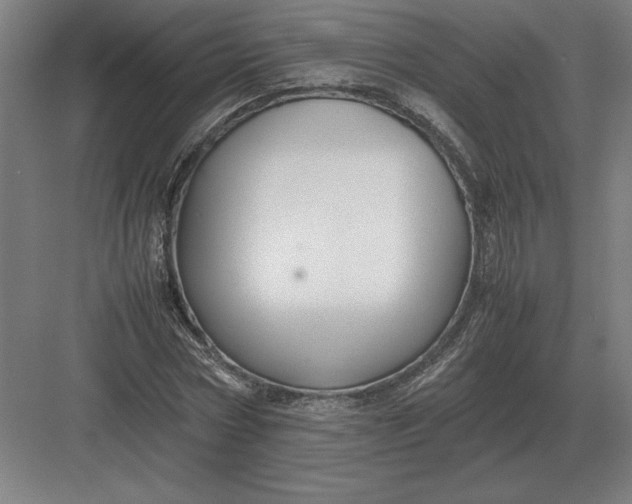 X0000083000778200702160048