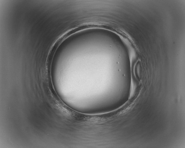 X0000083000779200702160048