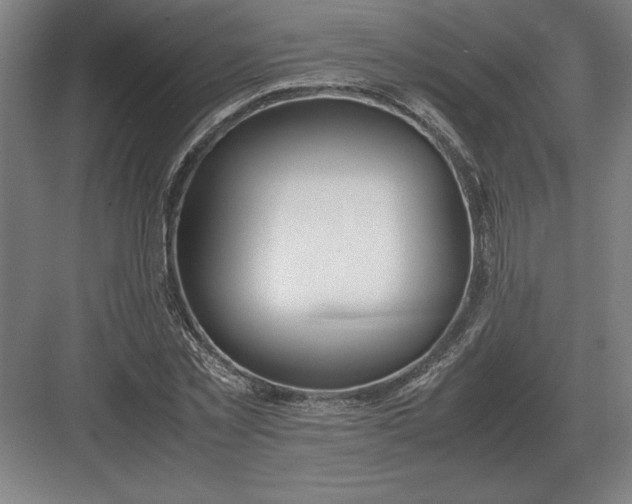 X0000083000781200702160048