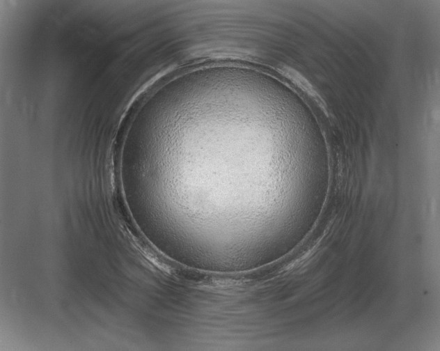 X0000083000782200702160048