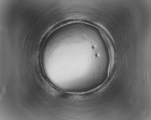 X0000083000783200702160048