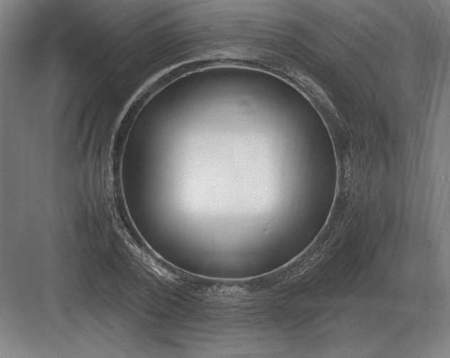 X0000083000784200702160048