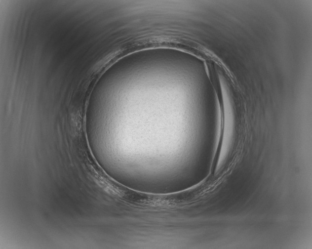 X0000083000785200702160048