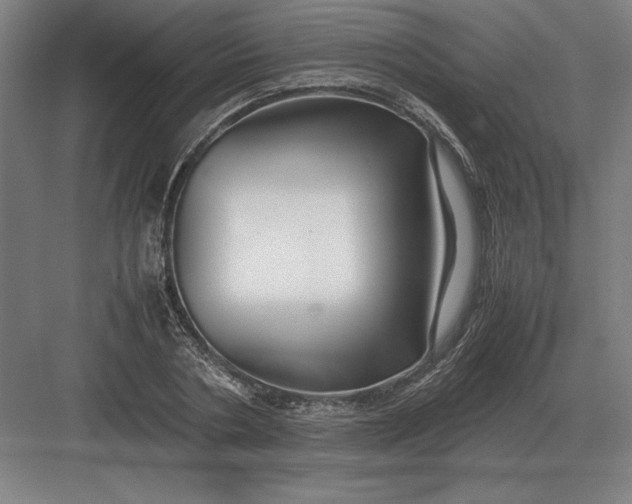 X0000083000786200702160048