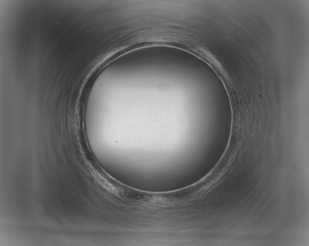 X0000083000787200702160048