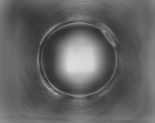 X0000083000788200702160048