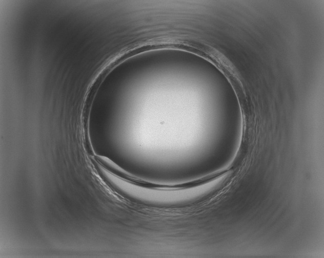 X0000083000789200702160048