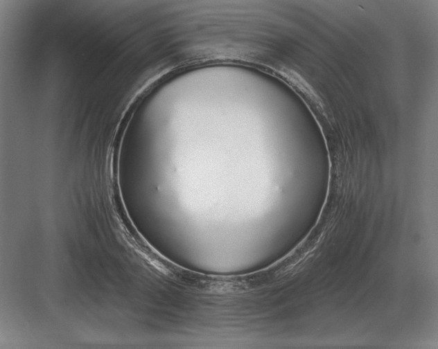 X0000083000790200702160048