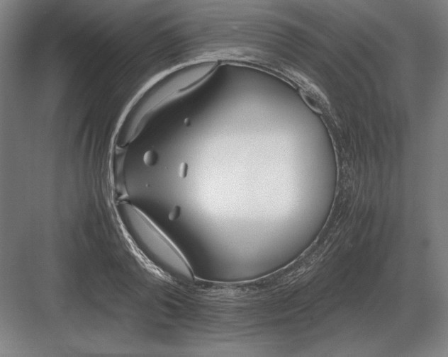 X0000083000792200702160048