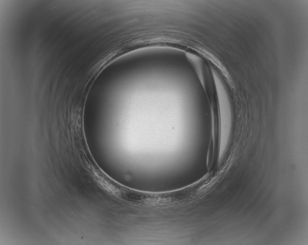 X0000083000793200702160048