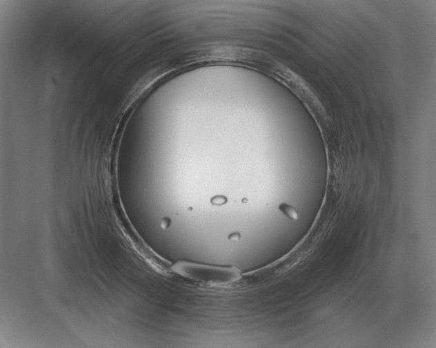 X0000083000794200702160048