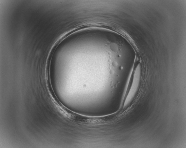 X0000083000795200702160048