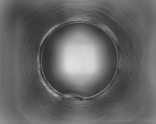 X0000083000796200702160048