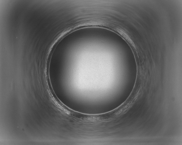 X0000083000797200702160048