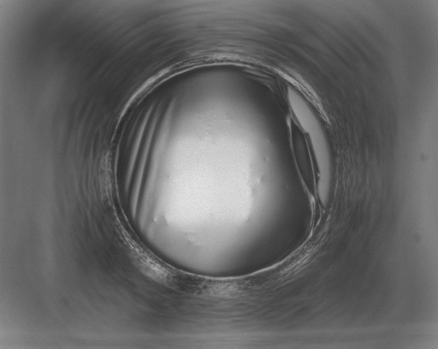 X0000083000798200702160048