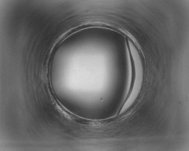 X0000083000799200702160048