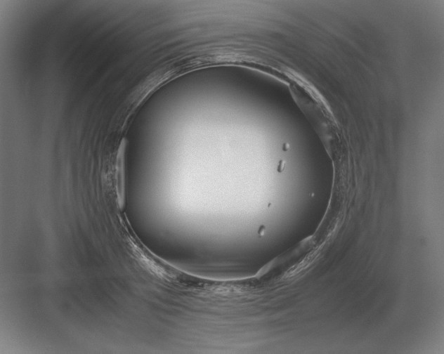 X0000083000801200702160048