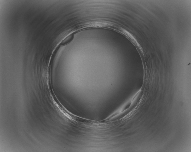 X0000083000802200702160048