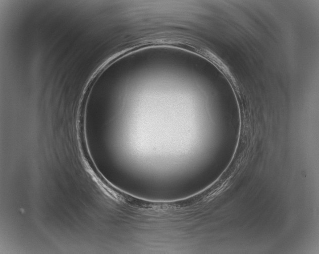 X0000083000803200702160048