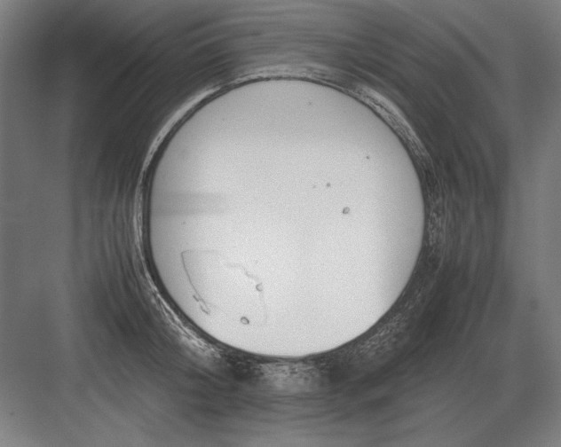 X0000083000804200702160048