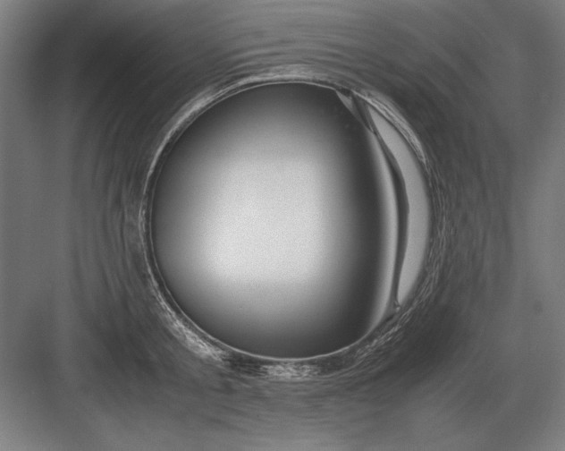 X0000083000805200702160048