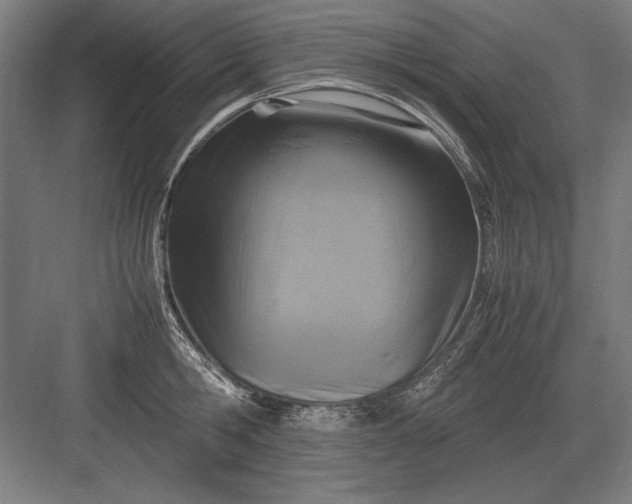 X0000083000806200702160048