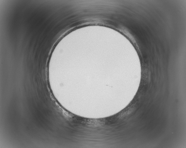 X0000083000807200702160048