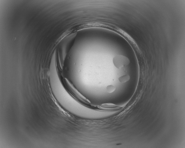 X0000083000809200702160048