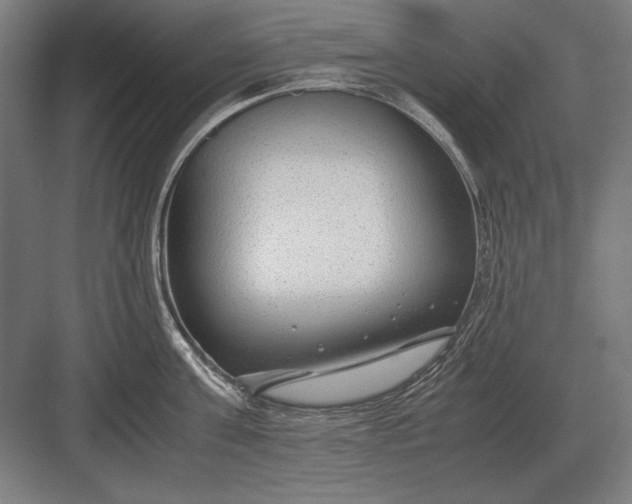 X0000083000811200702160048