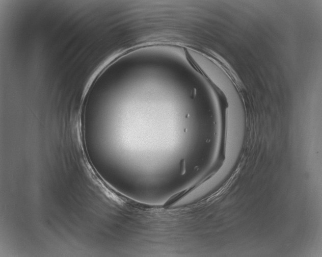 X0000083000812200702160048