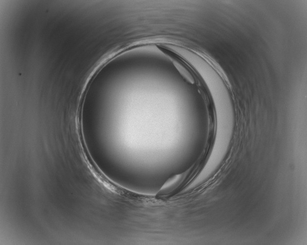 X0000083000813200702160048