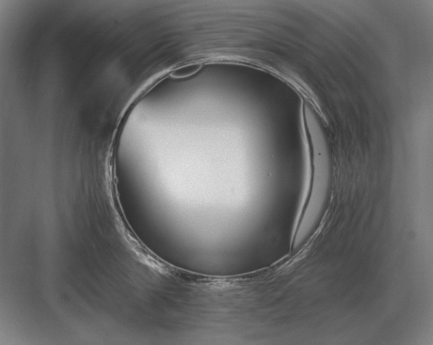 X0000083000814200702160048