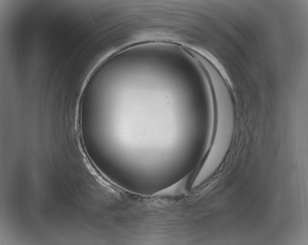 X0000083000815200702160048