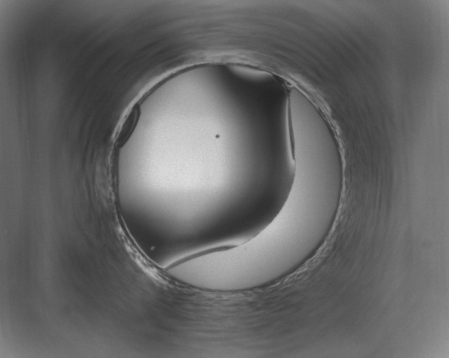 X0000083000816200702160048