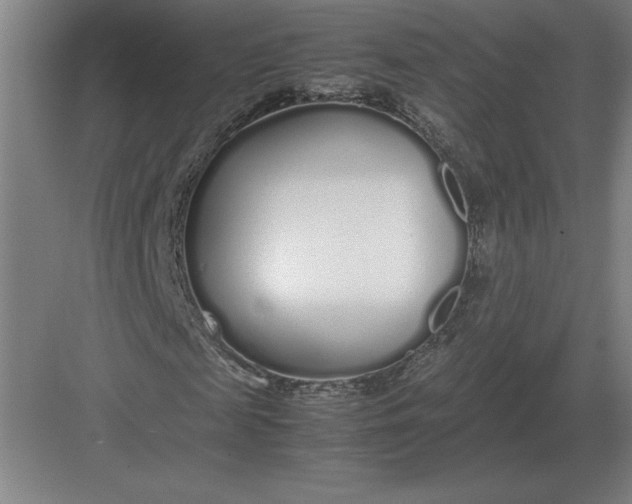 X0000083000817200702160047